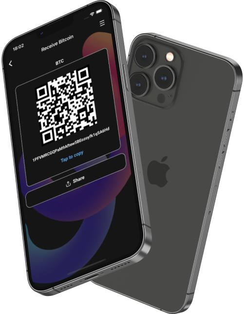 Paily Wallet iOS App example with opened qr code