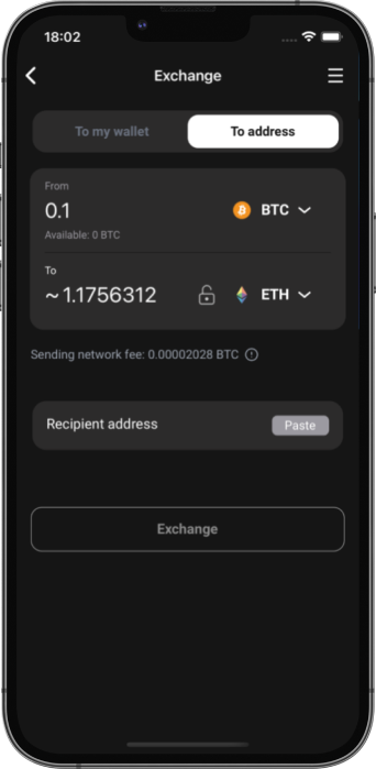 Example exchange operation in Paily Wallet App